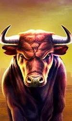 Black Bull